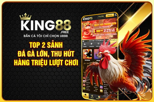 Top 2 sảnh đá gà lớn, thu hút hàng triệu lượt chơi