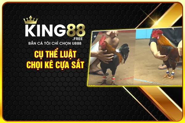 Cụ thể luật chọi kê cựa sắt