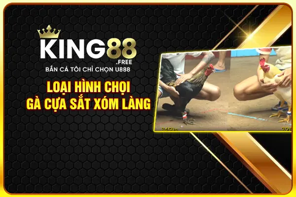 Loại hình chọi gà cựa sắt xóm làng